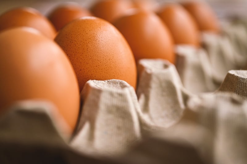 Food Storage Guidelines