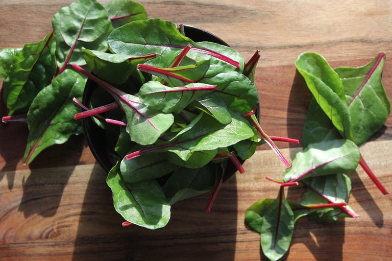 Fresh Salad Ideas