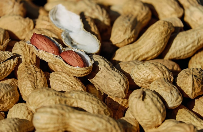 Roasted Chestnuts
